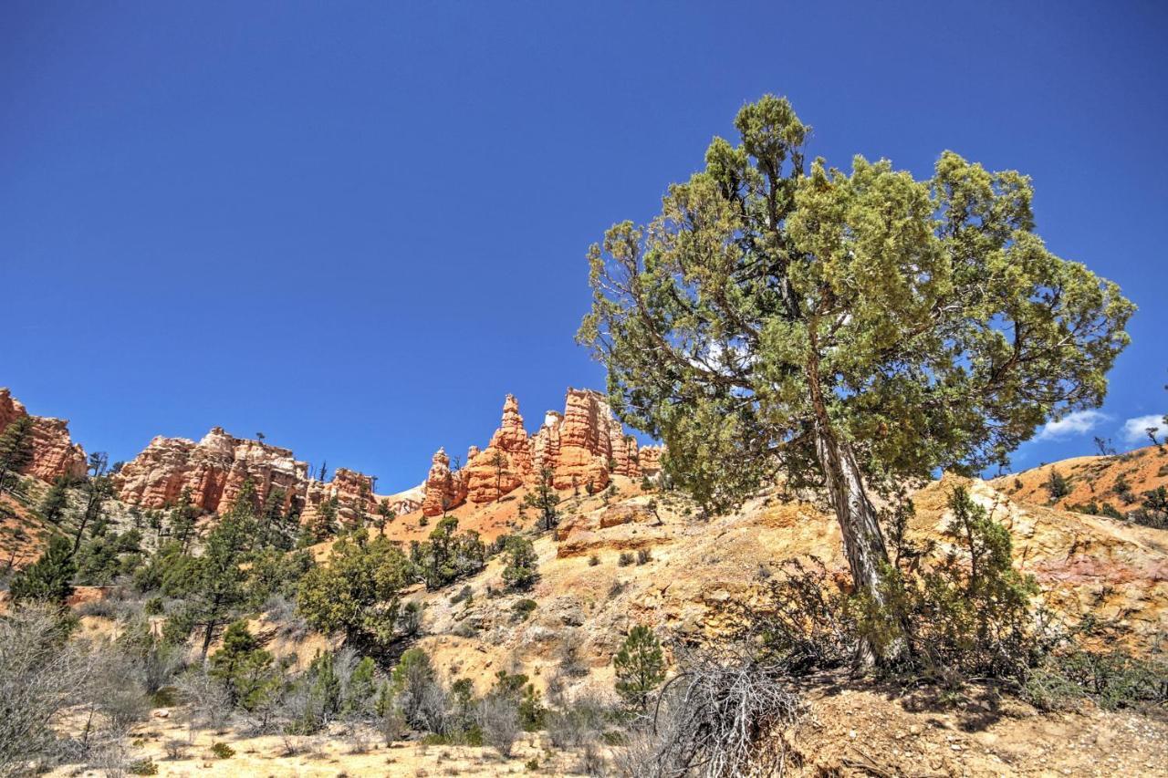 Bryce Canyon Area House With Mountain Views! Тропик Экстерьер фото